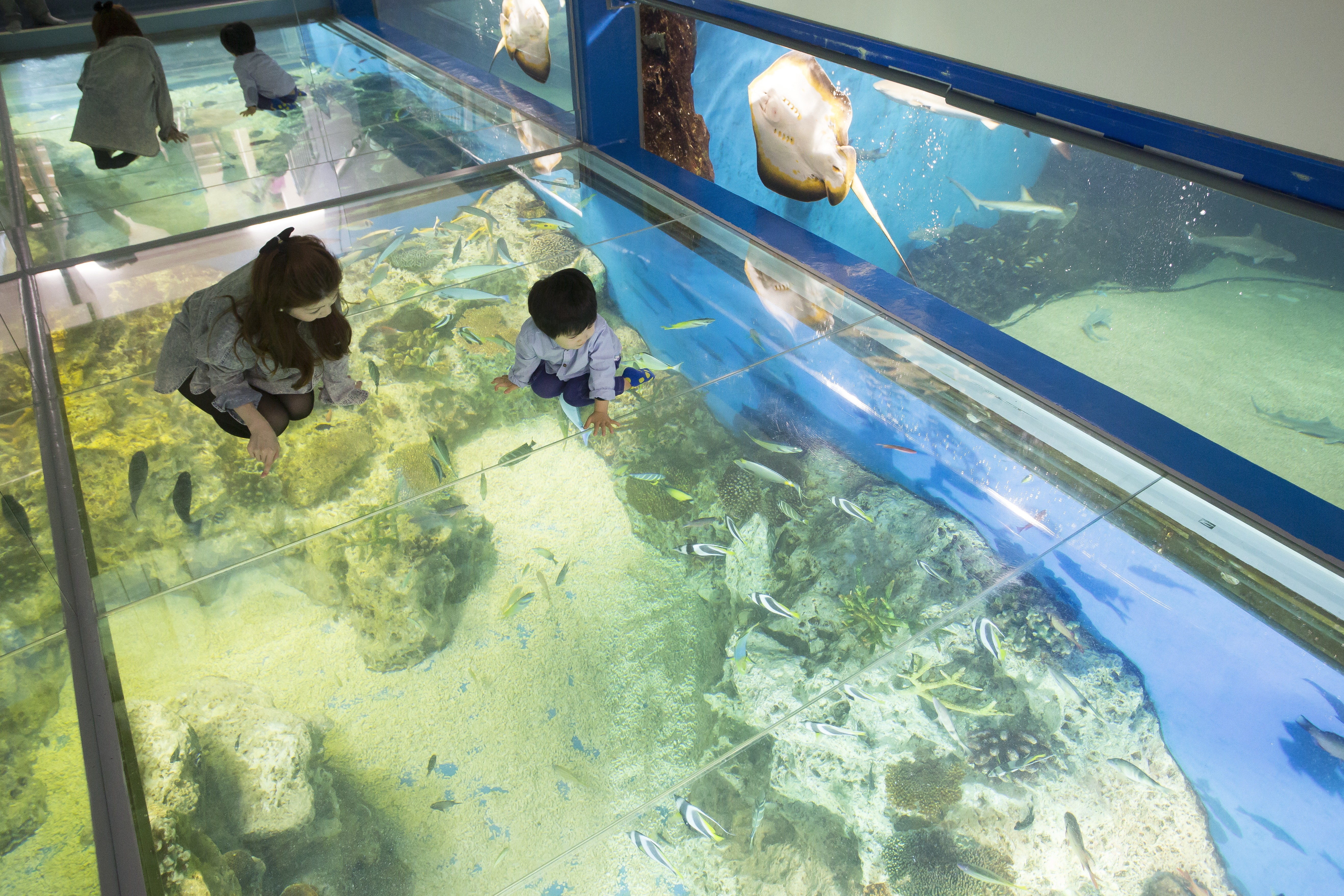 越前松島水族館 写真1